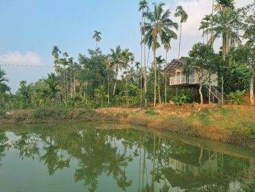 Best Homestay in Wayanad