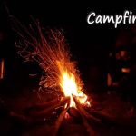 Best Homestay in Wayanad