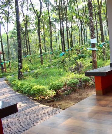 Best Home Stay in Kalpetta