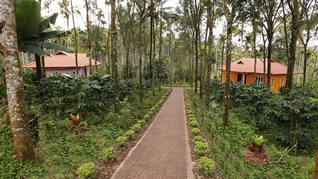 Best Home Stay in Wayanad