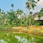 Best Homestay in Wayanad