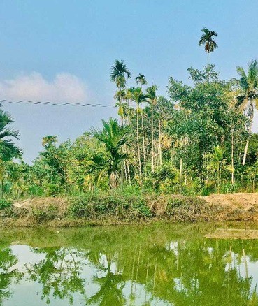 Best Home Stay in Kalpetta
