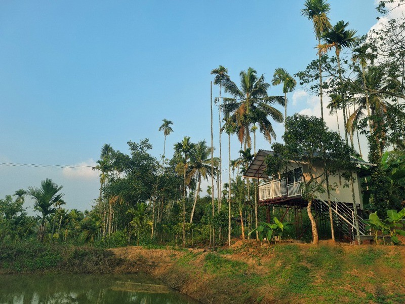 single cottage