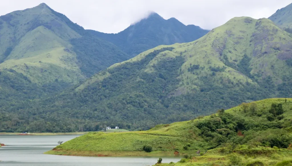 Homestay in Wayanad with Pool