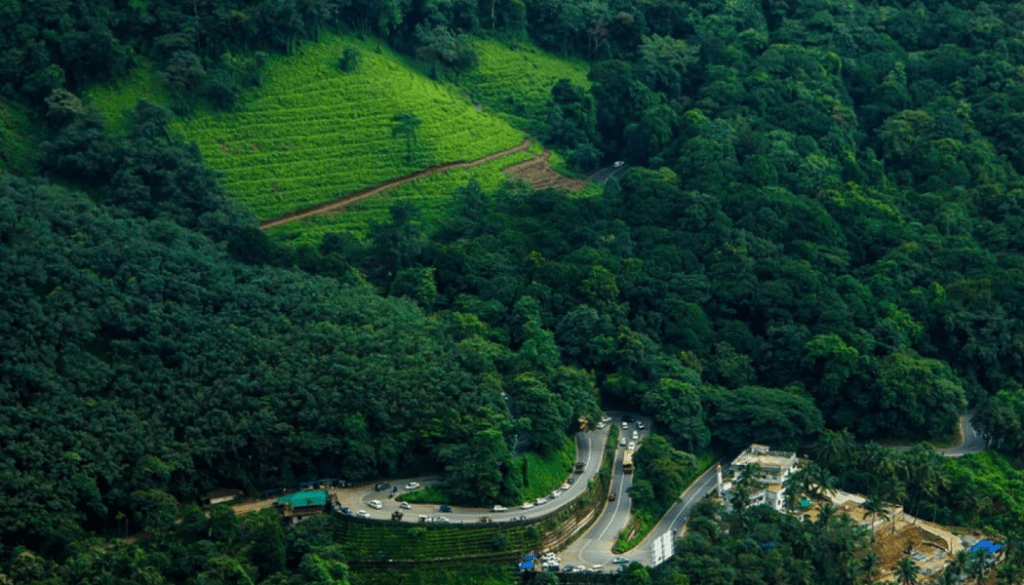 Untitled design - 2025-06-23T125837.767 Best Homestay in Wayanad