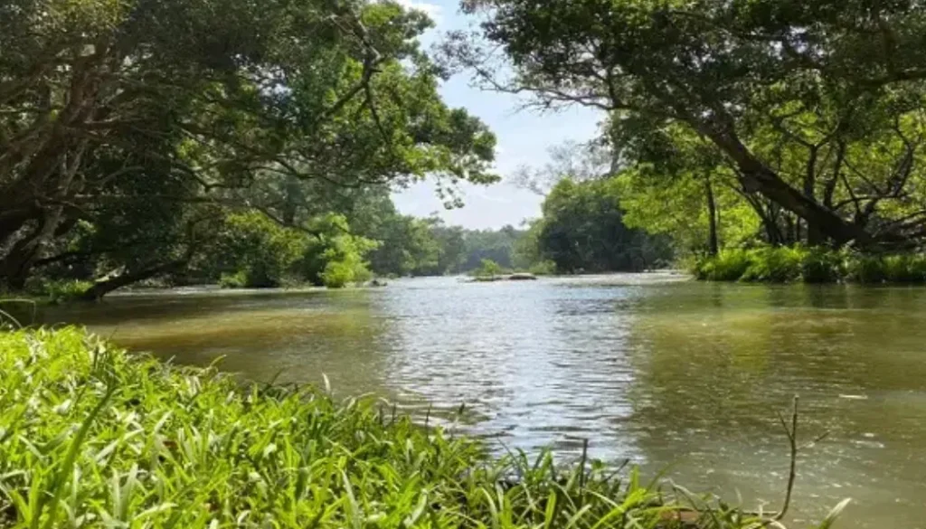 Best Homestay in Wayanad