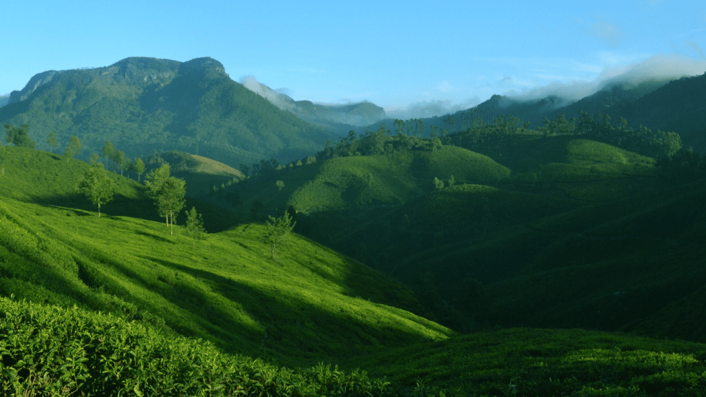 Untitled design - 2025-06-30T144300.121 Seasons for Wayanad Adventures