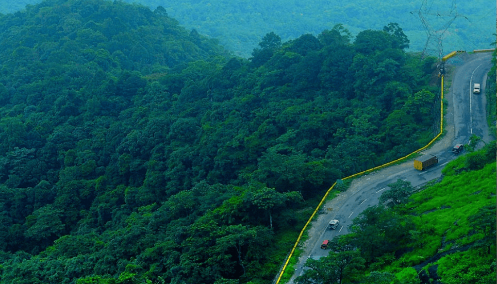 Best Tourist Spots in Wayanad