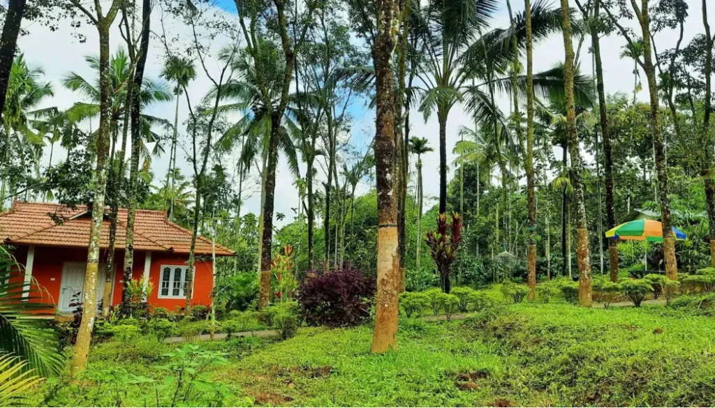 Best Wayanad Homestay