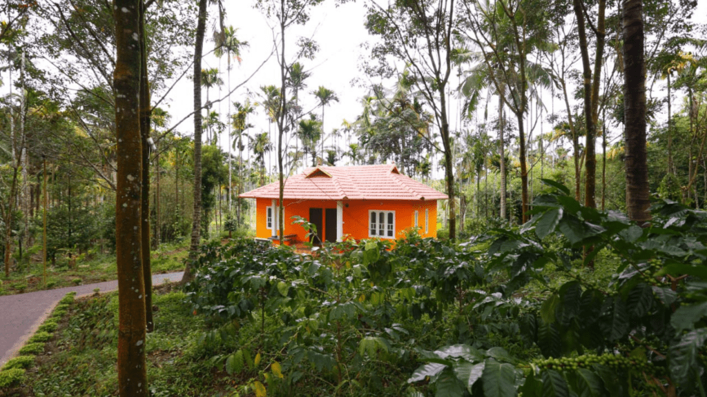 Wayanad Homestays