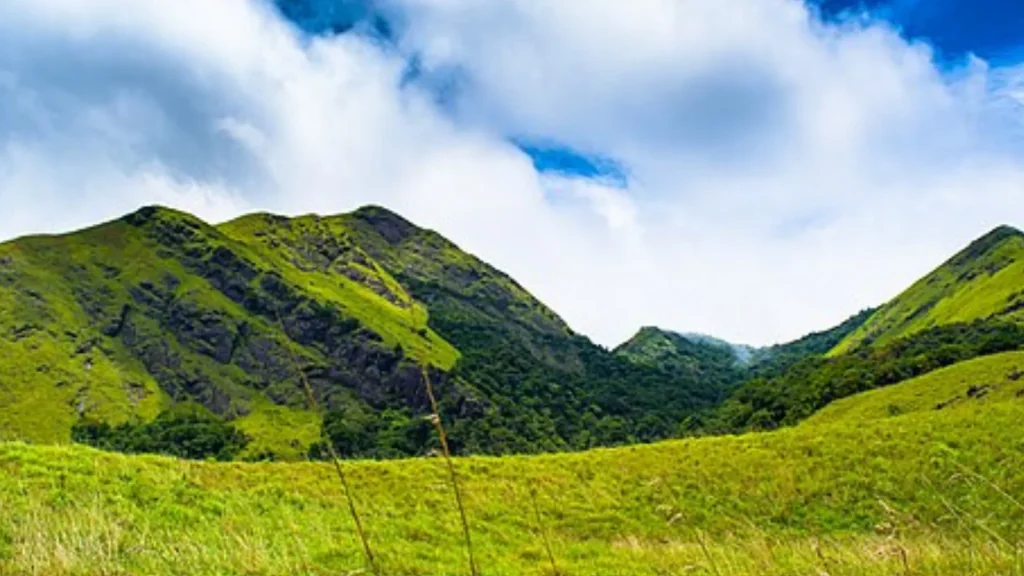 Wayanad Homestay Tour Packages
