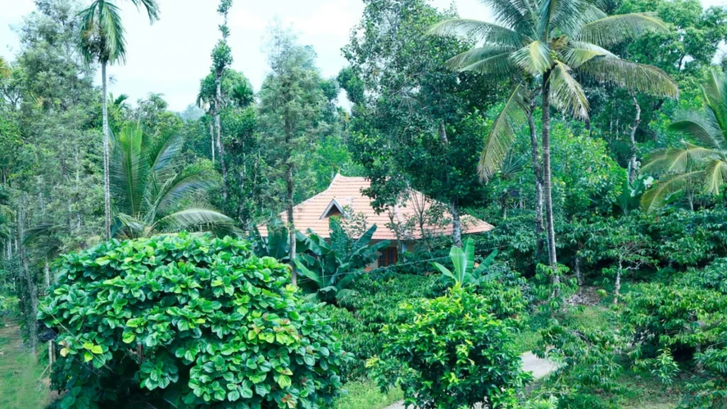 Traditional Homestays in Wayanad