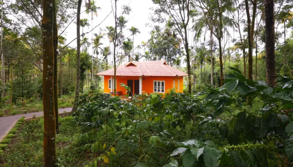 Family Homestay in Wayanad
