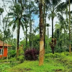 Safe Homestay in Wayanad