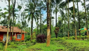 Safe Homestay in Wayanad