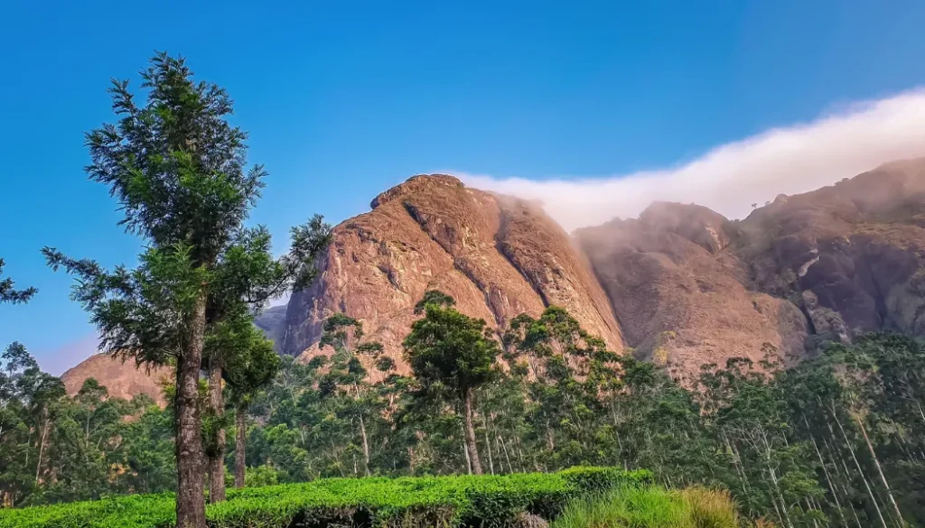 Budget-Friendly Vacation to Wayanad