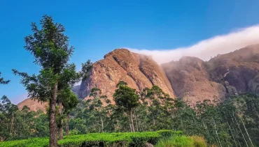 Budget-Friendly Vacation to Wayanad