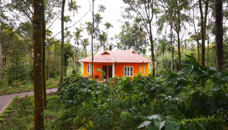 Nature-Inspired Homestays in Wayanad