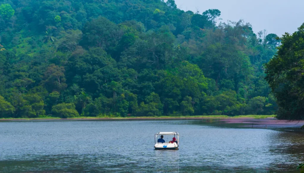 Travel Tips for Visiting Wayanad (1) Travel Tips for Visiting Wayanad