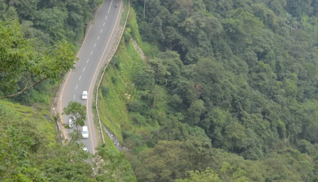 Travel Tips for Visiting Wayanad