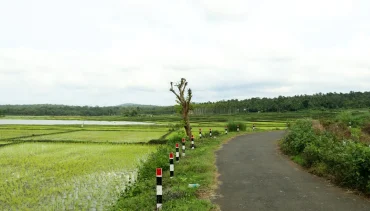 Cultural Walk Through Wayanad