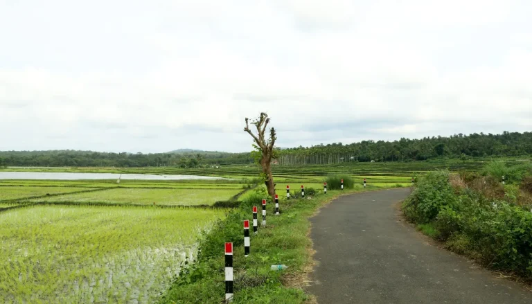 Cultural Walk Through Wayanad
