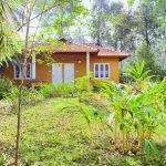 Himadri homestay wayanad (6)