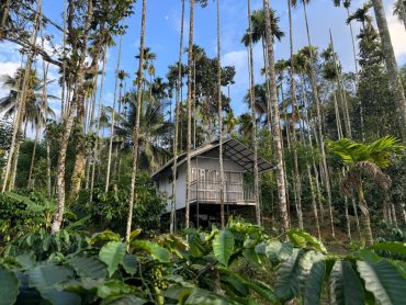Lavender Homestay Wayanad (2)