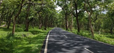 Bangalore to Wayanad by road