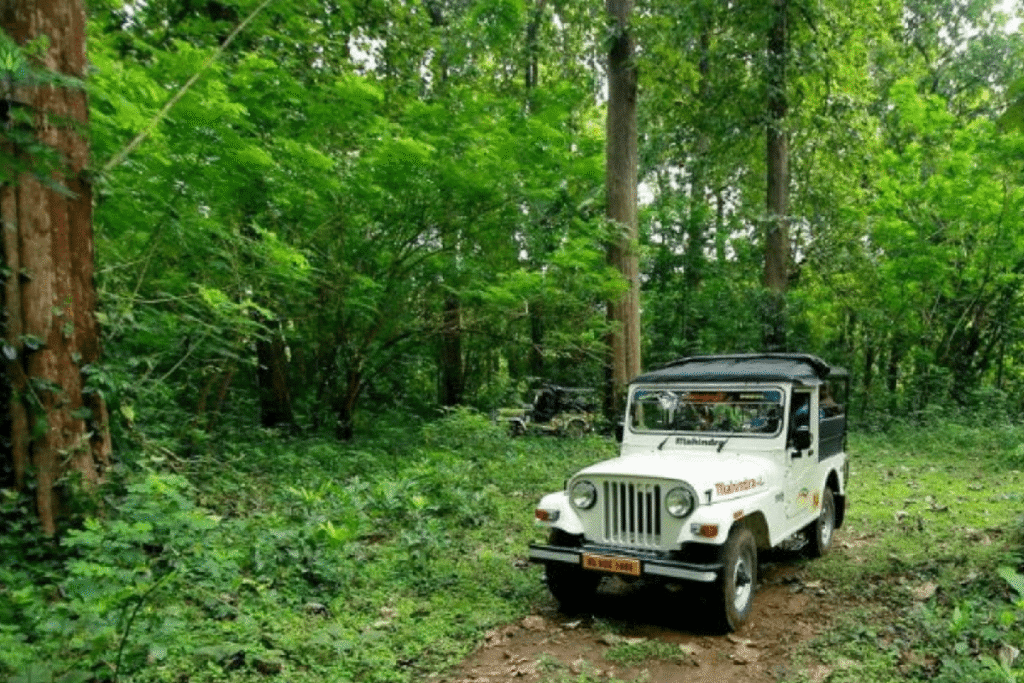 kurumbalakotta jeep safari