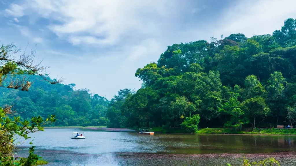 5 Must Visit Spots in Wayanad