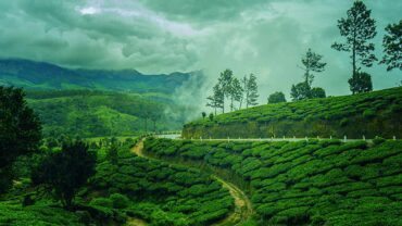 homestay monsoon