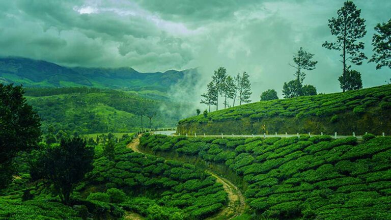 homestay monsoon