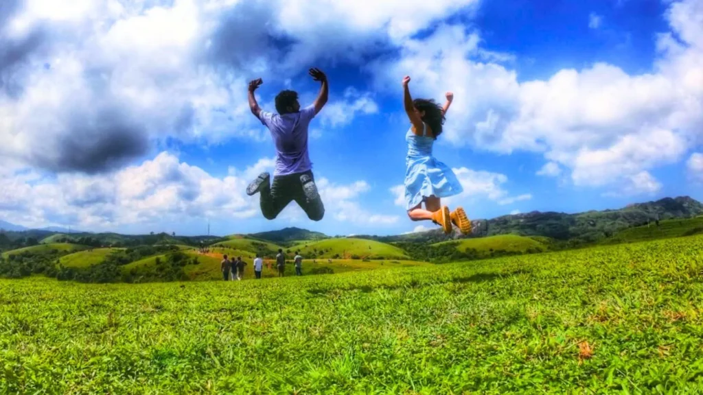 couples stay wayanad