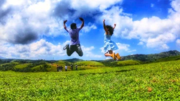 couples stay wayanad