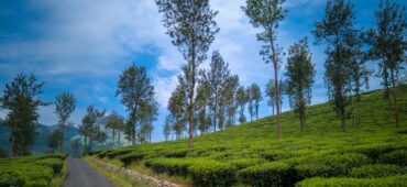 wayanad holiday